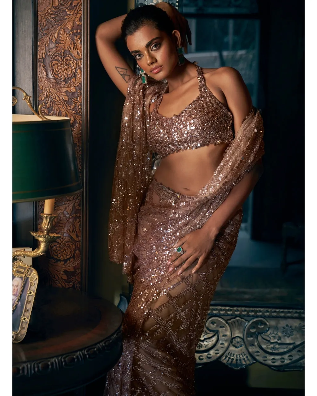 Coffee Brown Sequin Sari