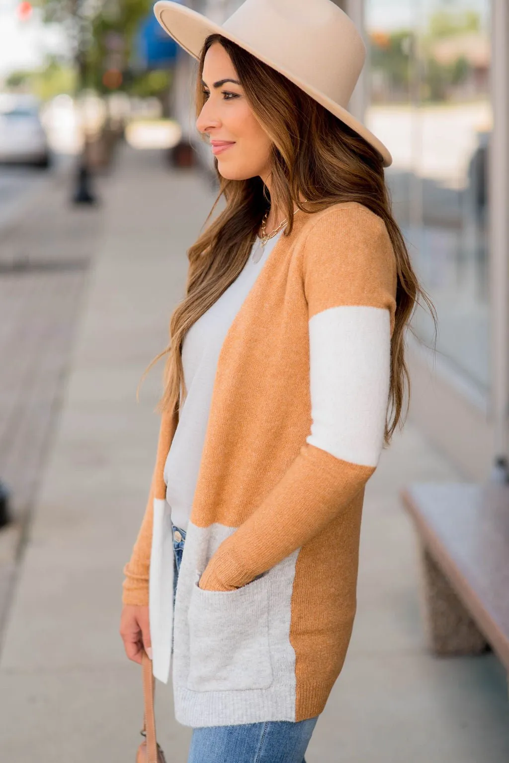 Neutral Blocked Pocket Cardigan