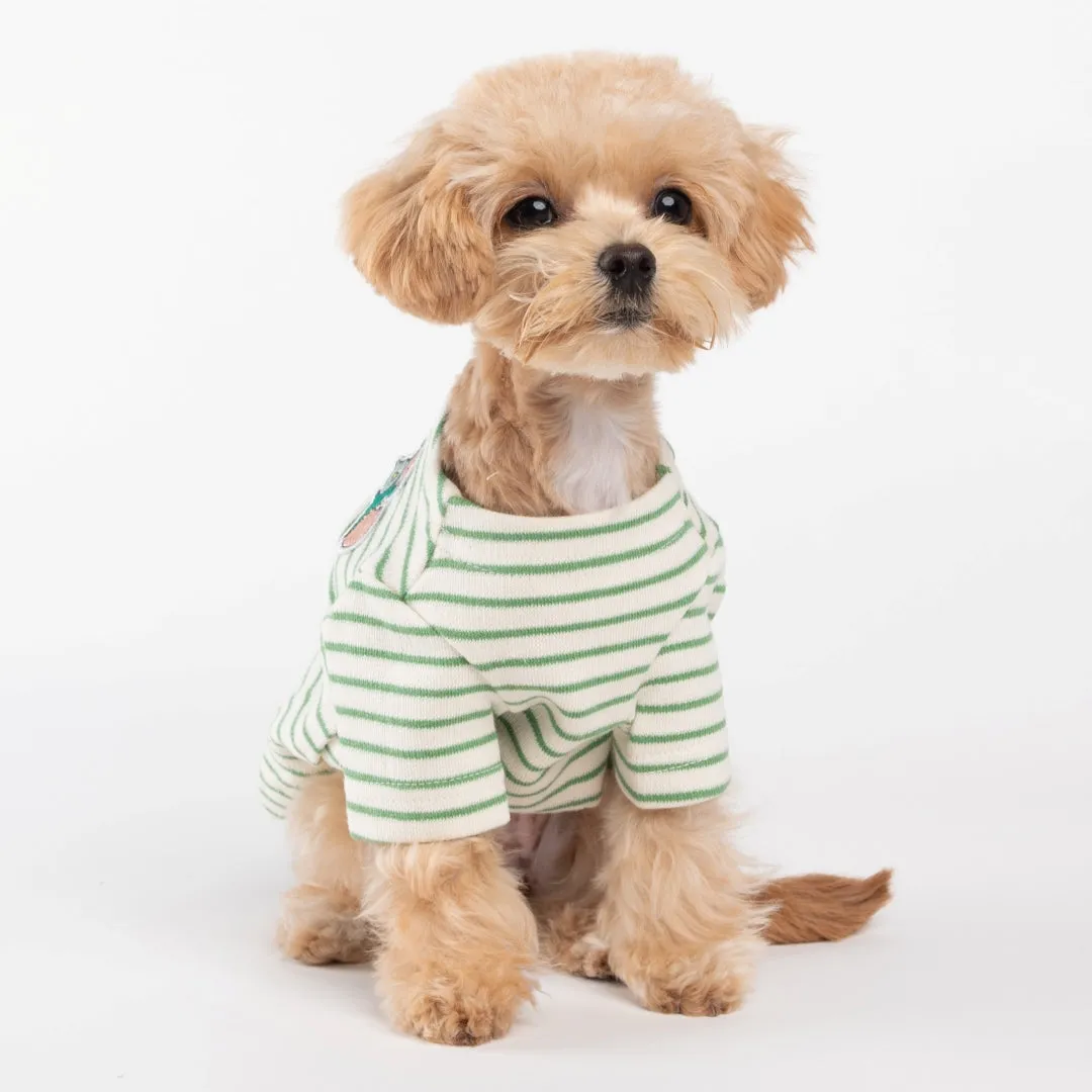 Stripe Honey Bee Sweatshirt - Green